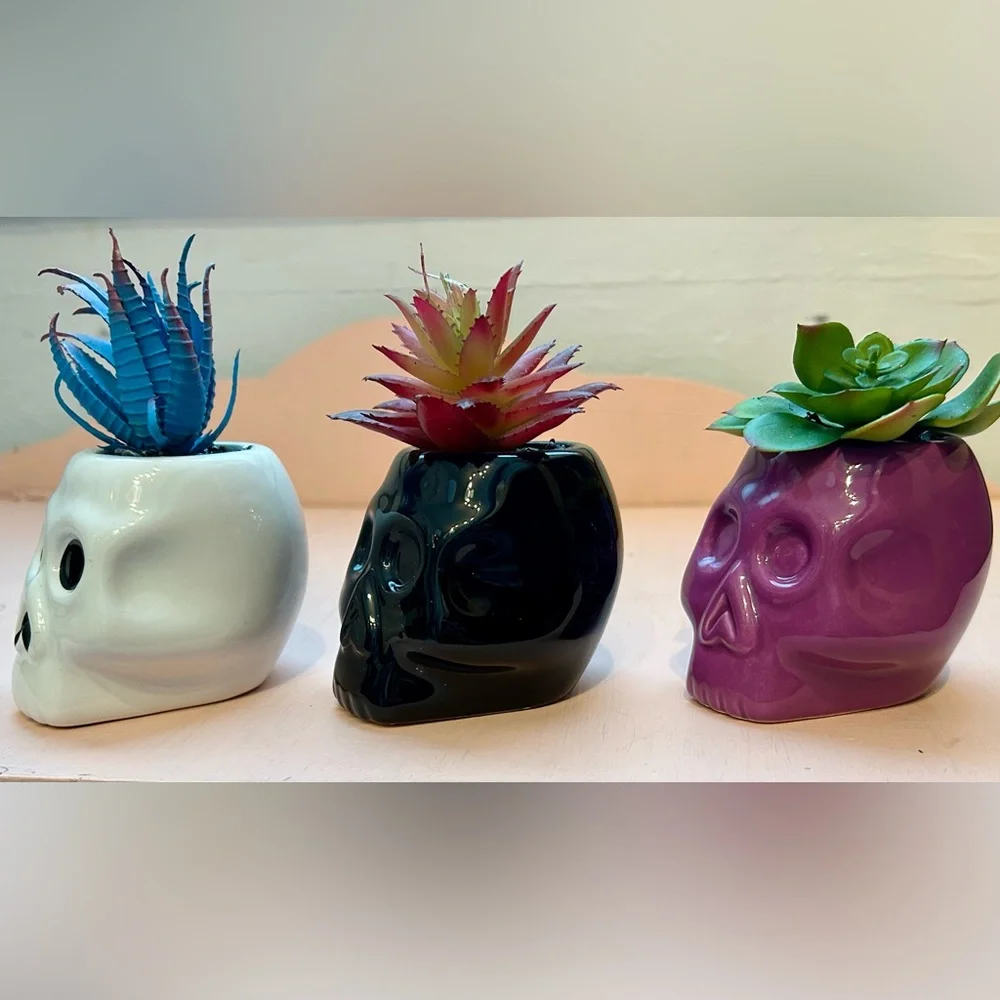 Target 2019 Halloween Skull 3 Planter Set Hyde & Eek Ghoulish Garden